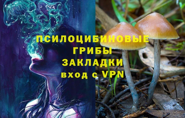 a pvp Майский