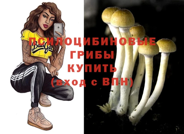 a pvp Майский