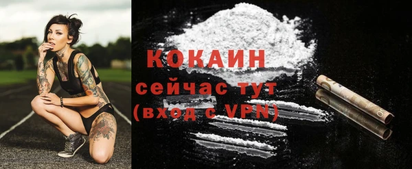 соль ск Липки