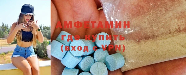 твердый Бердск