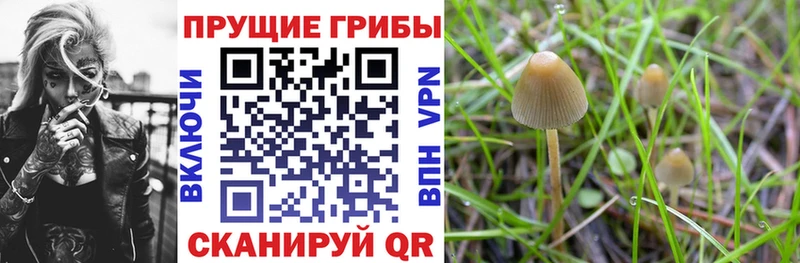 Галлюциногенные грибы мицелий Тобольск