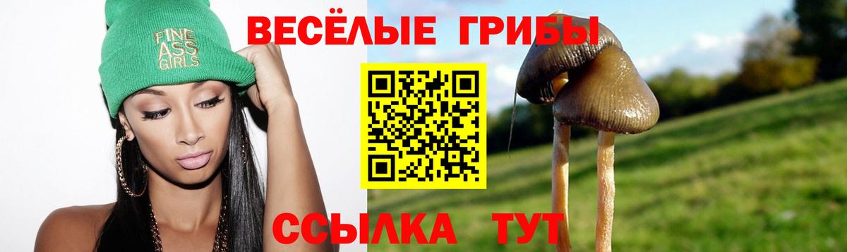 Тобольск  Псилоцибиновые грибы GOLDEN TEACHER  Вход с VPN  Псилоцибиновые грибы прущие грибы 