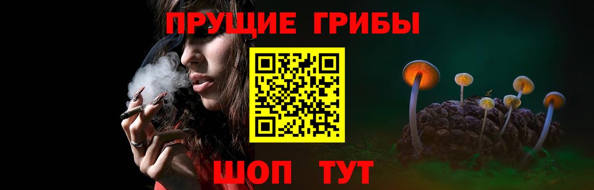 Галлюциногенные грибы MAGIC MUSHROOMS  Тобольск 